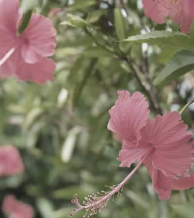 体験ダイビングショップ