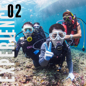 宮古島体験ダイビング