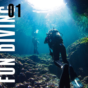 宮古島ファンダイビング