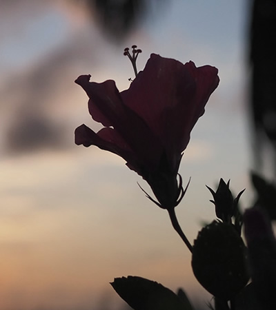 PADIライセンス講習