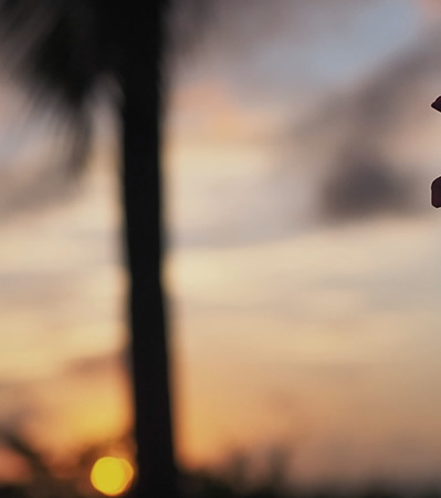 PADIライセンス講習