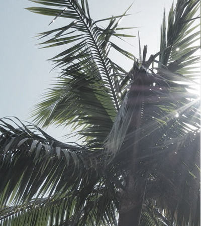 観光シュノーケル