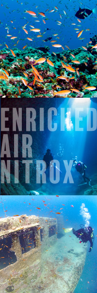 ダイビングライセンス