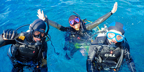 エンリッチライセンス取得