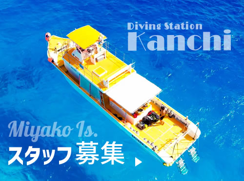 宮古島ダイビング求人インストラクター
