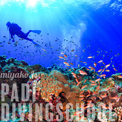 宮古島でPADIライセンス講習