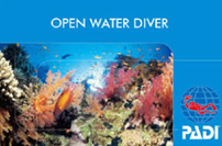 eラーニングオープンウォーター