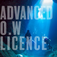 アドバンスライセンス