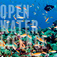 ダイビングライセンス