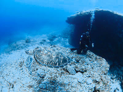 ポイントプロビデンス