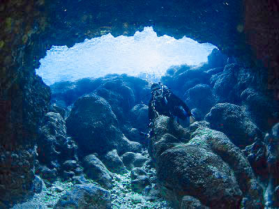 サプライズホール