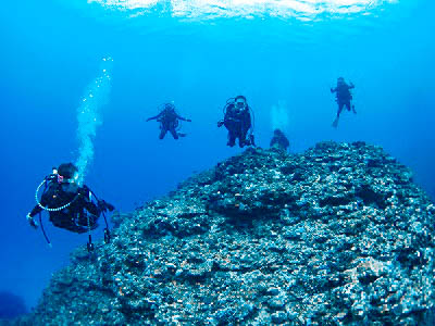 ムイガードロップ