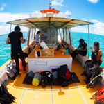 八重干瀬シュノーケルもできる