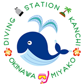 宮古島ダイビングショップカンチ