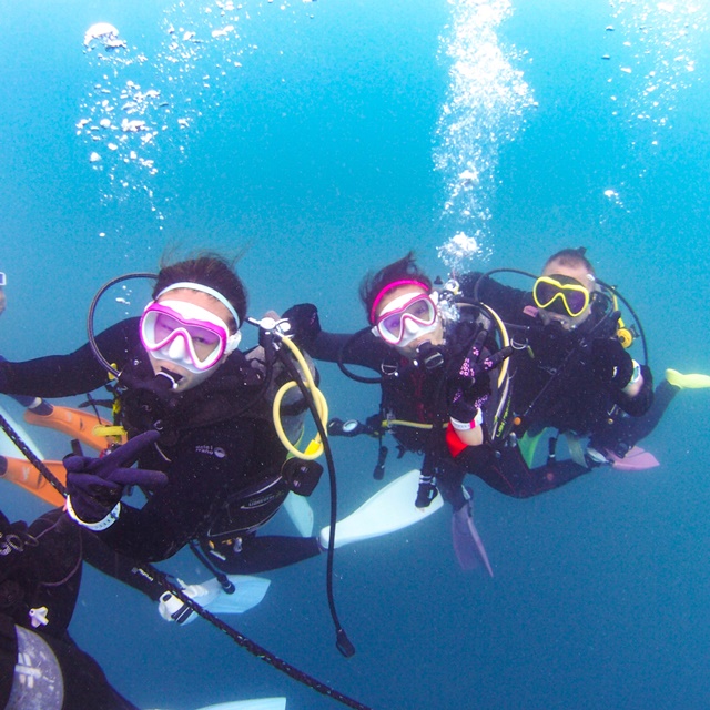 体験ダイビングができる