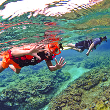 シュノーケリングでサンゴ