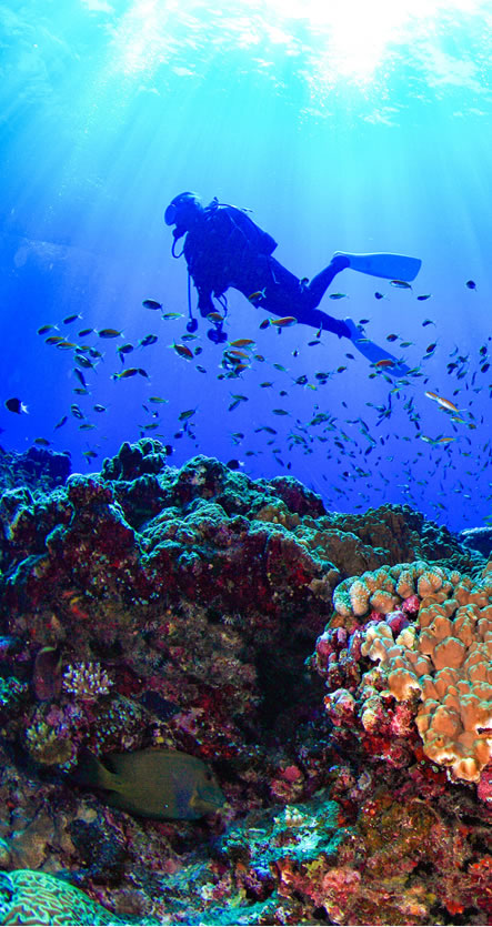 八重干瀬伊良部島ポイントへも行ける