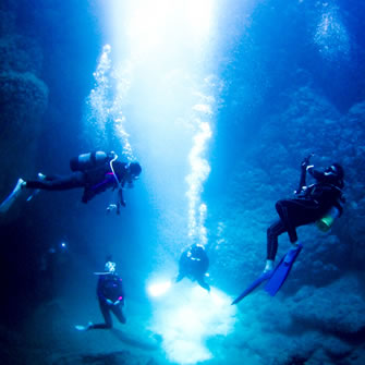 宮古島ファンダイビングツアー