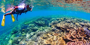 宮古島八重干瀬シュノーケル