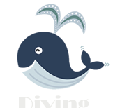 宮古島ダイビングステーションカンチ