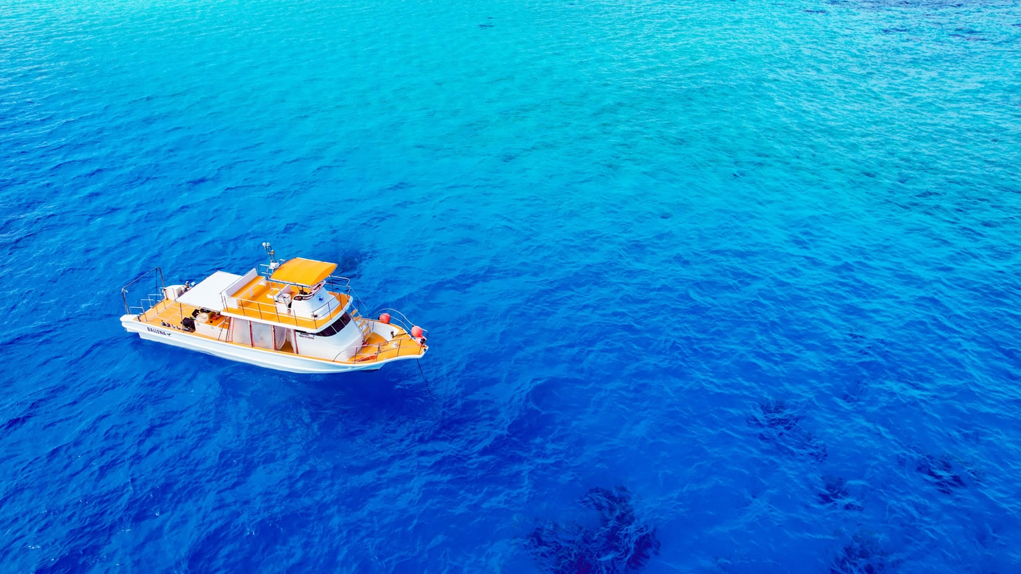 宮古島ダイビング