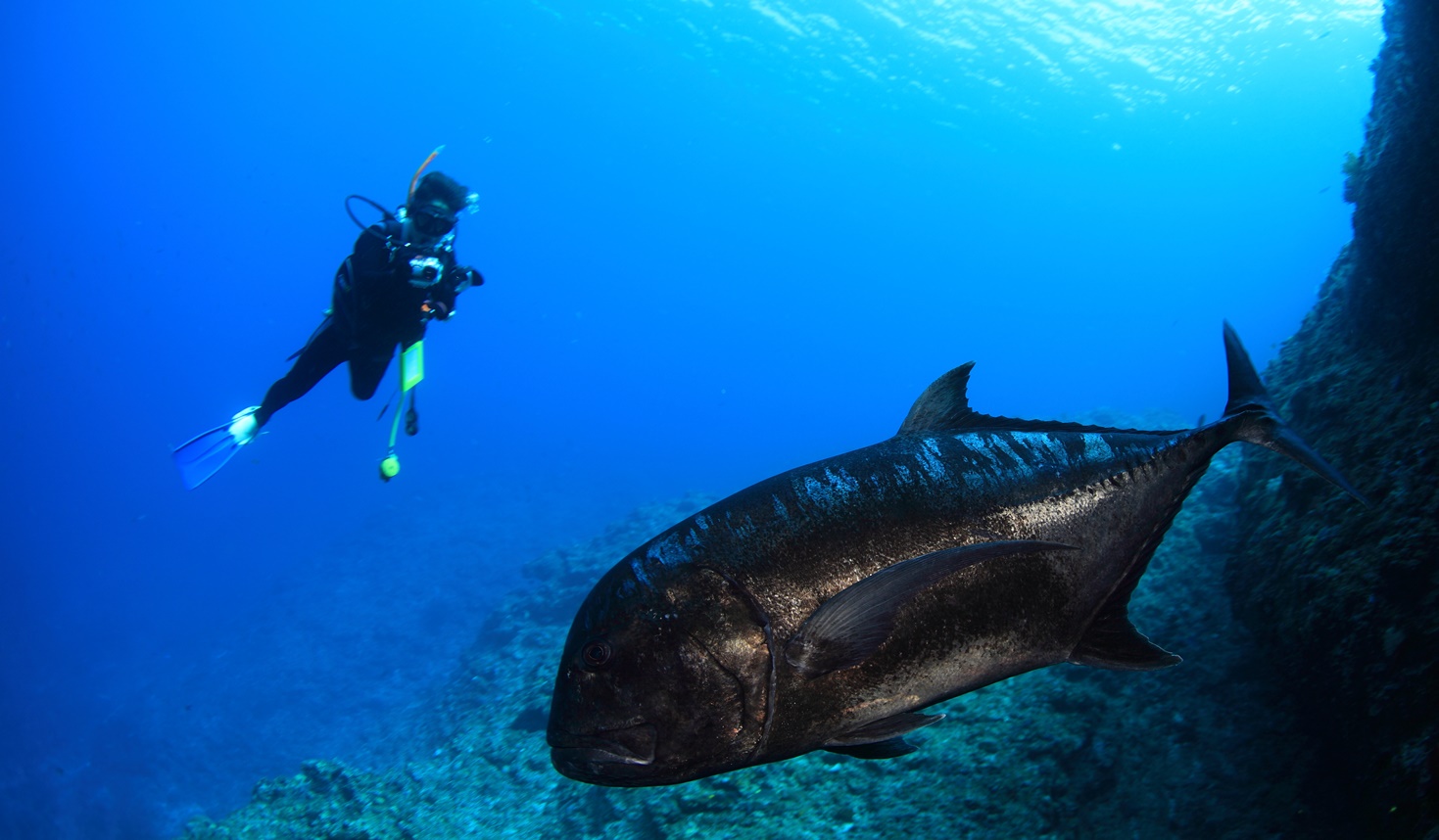 宮古島ライセンス