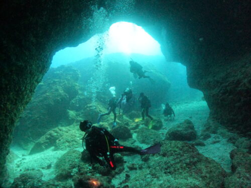 2026年1〜2月の宮古島のダイビング情報