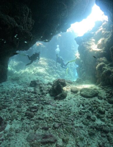 2026年３月の宮古島のダイビング情報